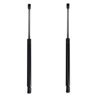 TRQ® - Driver and Passenger Side Liftgate Lift Support Set