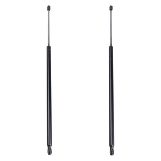 TRQ® - Driver and Passenger Side Liftgate Lift Support Set