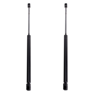 TRQ® - Driver and Passenger Side Back Glass Lift Support Set