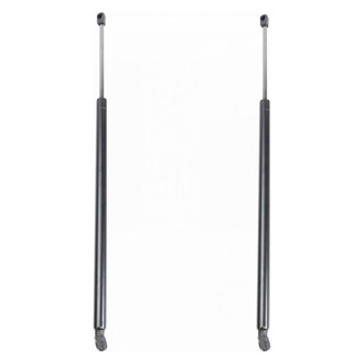 TRQ® - Driver and Passenger Side Liftgate Lift Support Set
