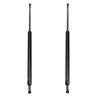 TRQ® - Driver and Passenger Side Liftgate Lift Support Set