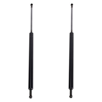 TRQ® - Driver and Passenger Side Liftgate Lift Support Set