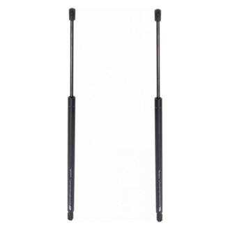 TRQ® - Driver and Passenger Side Liftgate Lift Support Set