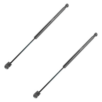TRQ® - Back Glass Lift Support Set