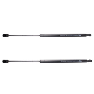 TRQ® - Driver and Passenger Side Back Glass Lift Support Set