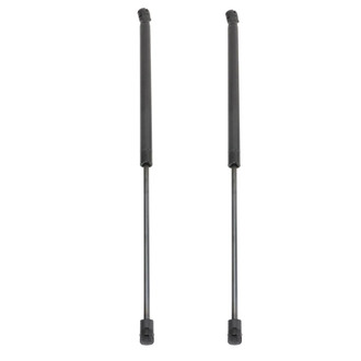 TRQ® - Driver and Passenger Side Liftgate Lift Support Set