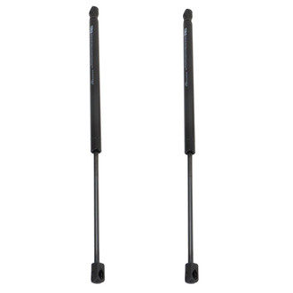 TRQ® - Driver and Passenger Side Liftgate Lift Support Set
