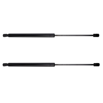TRQ® - Driver and Passenger Side Liftgate Lift Support Set