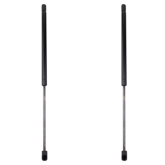 TRQ® - Driver and Passenger Side Liftgate Lift Support Set