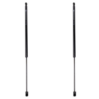 TRQ® - Driver and Passenger Side Liftgate Lift Support Set