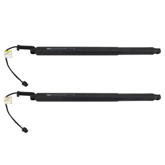TRQ® - Driver and Passenger Side Liftgate Lift Support Set