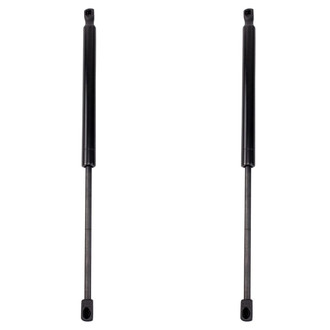 TRQ® - Driver and Passenger Side Liftgate Lift Support Set