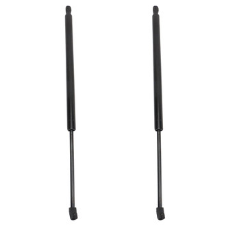 TRQ® - Driver and Passenger Side Liftgate Lift Support Set