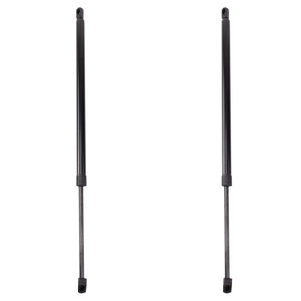 TRQ® - Driver and Passenger Side Liftgate Lift Support Set