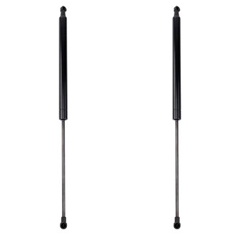 TRQ® - Driver and Passenger Side Liftgate Lift Support Set