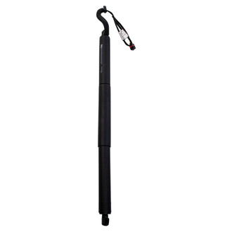 TRQ® - Driver or Passenger Side Liftgate Lift Support