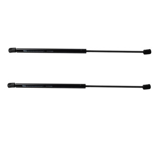 TRQ® - Driver and Passenger Side Liftgate Lift Support Set