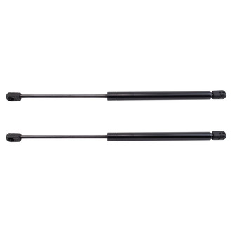TRQ® - Driver and Passenger Side Back Glass Lift Support Set
