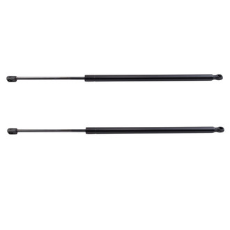 TRQ® - Driver and Passenger Side Liftgate Lift Support Set
