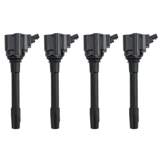 TRQ® - Ignition Coil Set