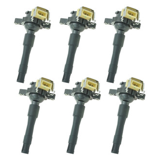 TRQ® - Ignition Coil Set