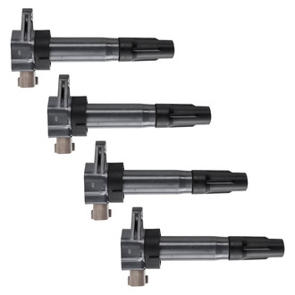 TRQ® - Ignition Coil Set