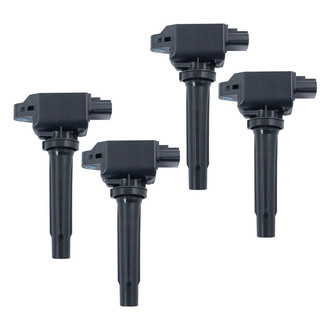 TRQ® - Ignition Coil Set