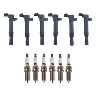 TRQ® - Ignition Kit