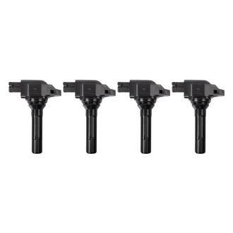 TRQ® - Ignition Coil Set