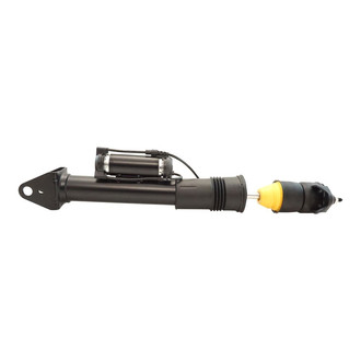 TRQ® - Rear Passenger Side Air Suspension Strut