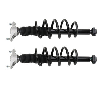 TRQ® - Rear Shock Absorber Set