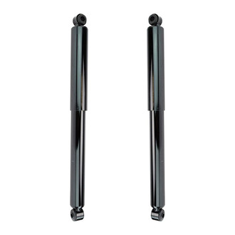 TRQ® - Front Shock Absorber Set
