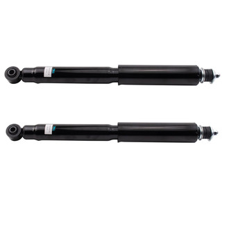 TRQ® - Rear Shock Absorber Set