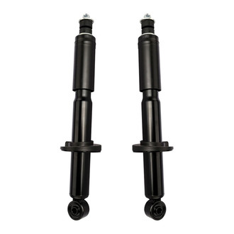 TRQ® - Front Shock Absorber Set