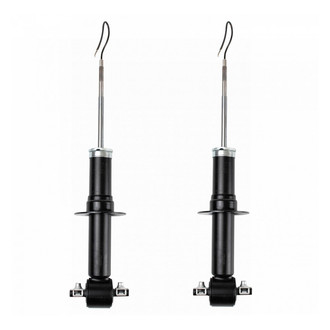 TRQ® - Front Shock and Strut