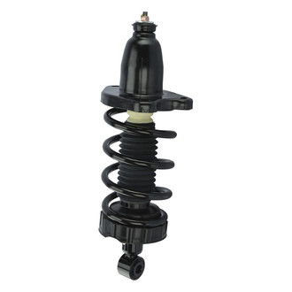 TRQ® - Rear Passenger Side Complete Strut Assembly