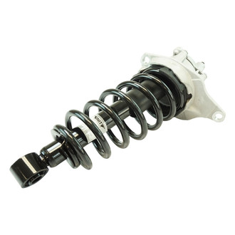 TRQ® - Rear Passenger Side Complete Strut Assembly