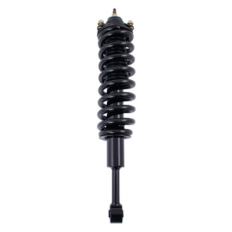 TRQ® - Front Passenger Side Complete Strut Assembly