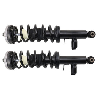 TRQ® - Rear Complete Strut Assembly