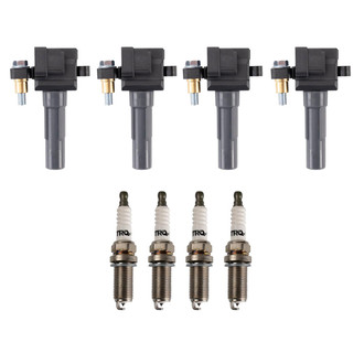 TRQ® - Ignition Kit