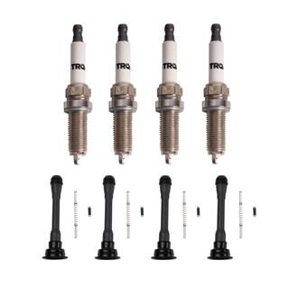 TRQ® - Ignition Kit