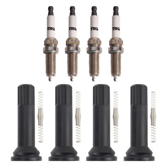 TRQ® - Ignition Kit