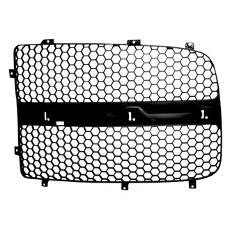 TruParts® - Driver Side Grille Insert (Standard Line)