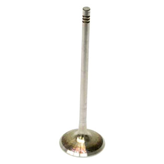 TRW® - Intake Valve
