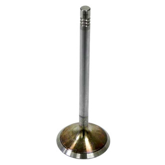 TRW® - Intake Valve