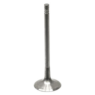 TRW® - Intake Valve