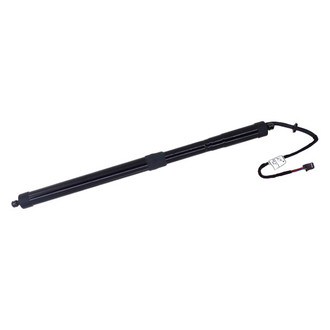 Tuff Support® - Liftgate Lift Support