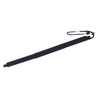 Tuff Support® - Liftgate Lift Support