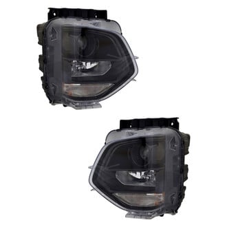 TYC® - Driver and Passenger Side Replacement Headlight Set (Standard Line)