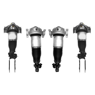 Unity® - Electronic Air Complete Strut Assemblies